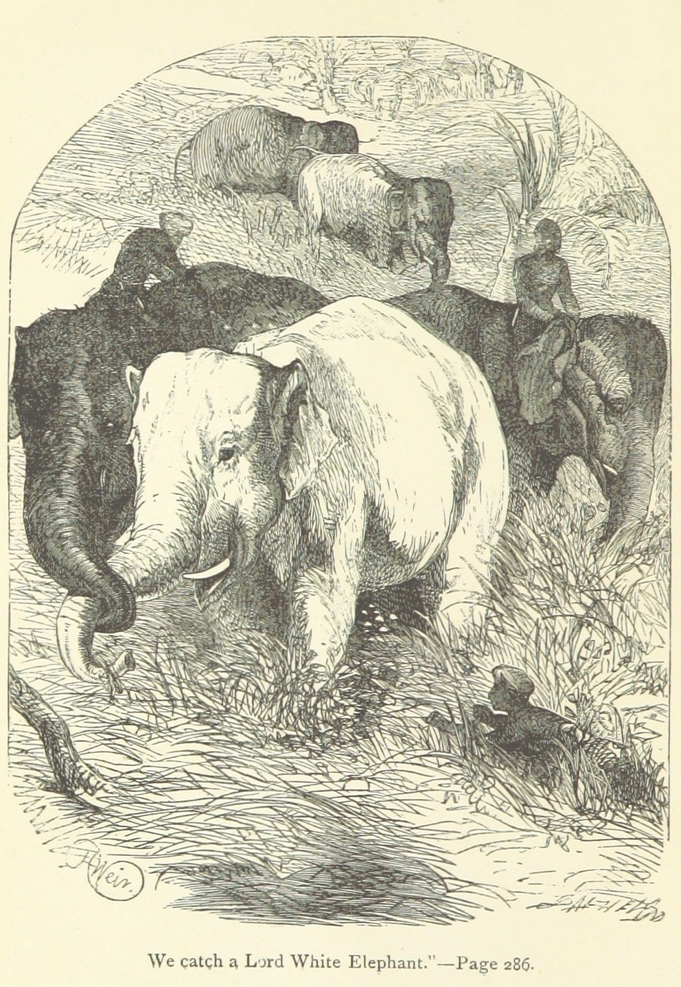 William Dalton, The White Elephant; or, the Hunters of Ava and the King of the Golden Foot (London: Griffith and Farran, 1888)