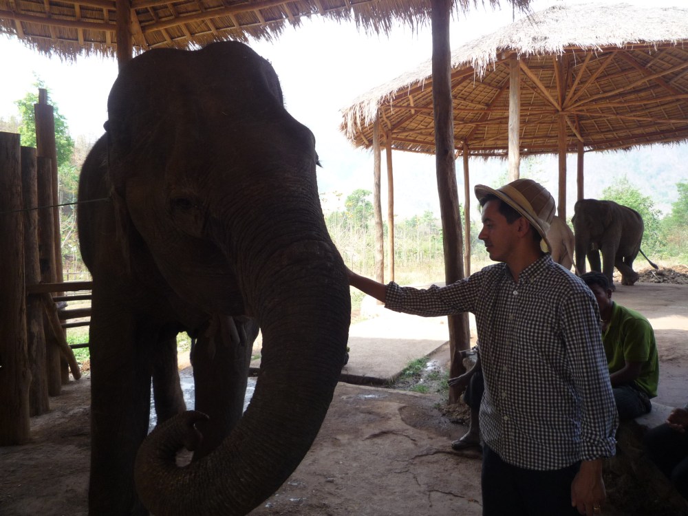 Me feeding an elderly female elephant, who was wary of accepting food from humans with her trunk because of some earlier traumatic experience.