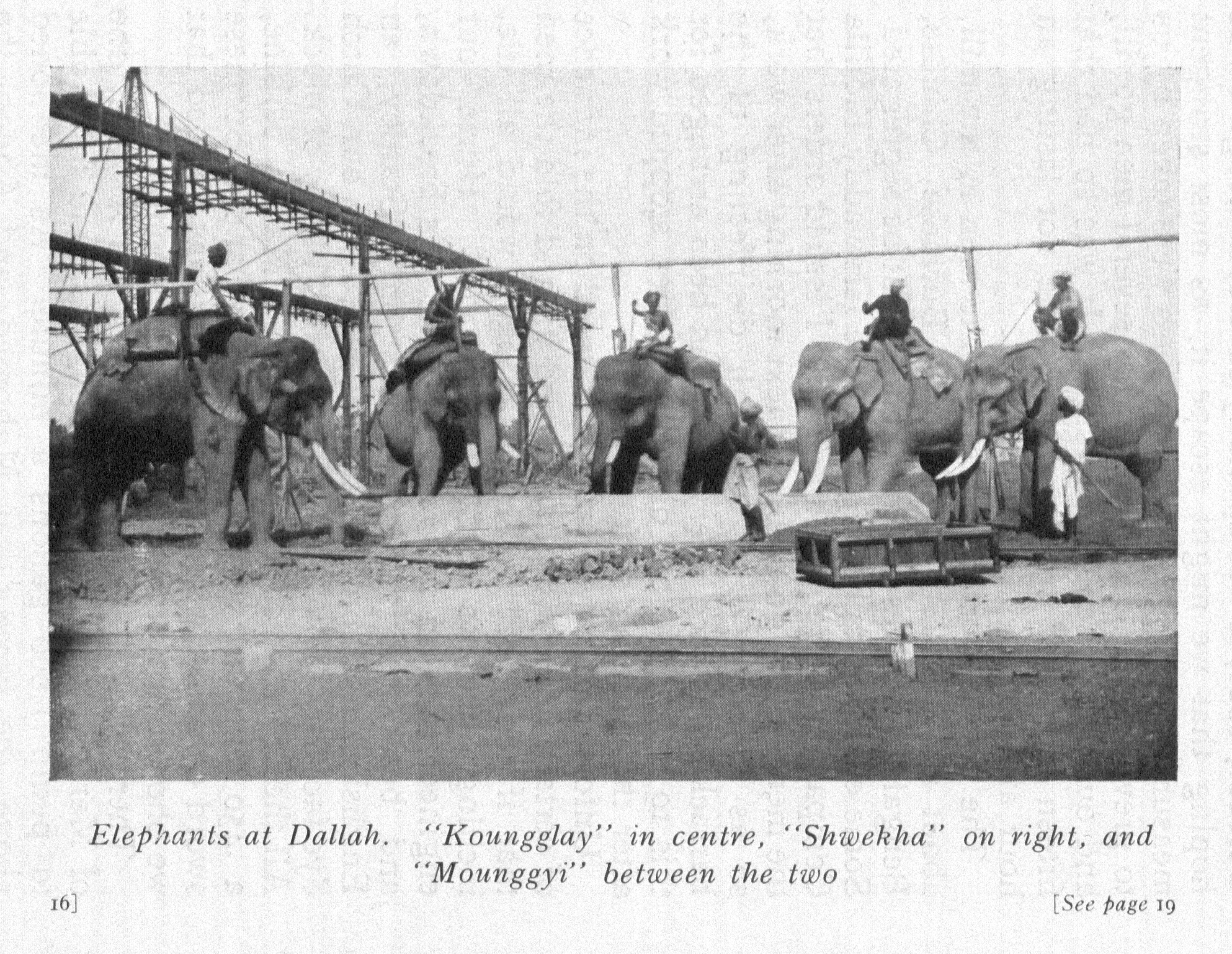 Smells Like Empire (to an Elephant) – Colonizing Animals