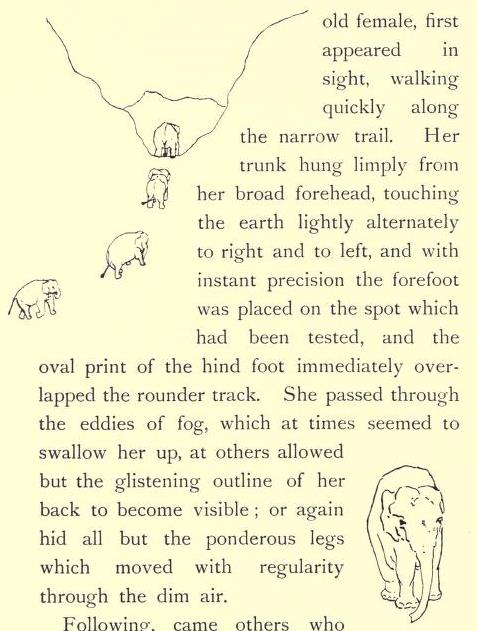 lifeofelephant00eardrich_0030