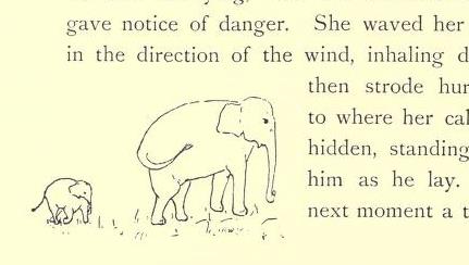 lifeofelephant00eardrich_0052