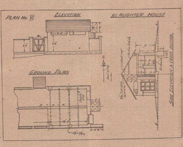 Image from M.L. Treston, Health Notes Medical and Sanitary (n.d. c.1941). For more details, see this blog post.