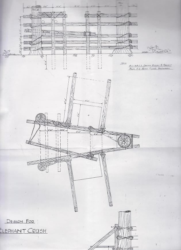 From G. Pfaff, Reports on the Investigation of Diseases of Elephants (Rangoon, 1940)