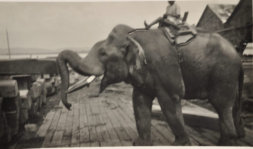 © London Metropolitan Archives https://upload.wikimedia.org/wikipedia/commons/thumb/9/99/Cc-by-nc_icon.svg/120px-Cc-by-nc_icon.svg.png