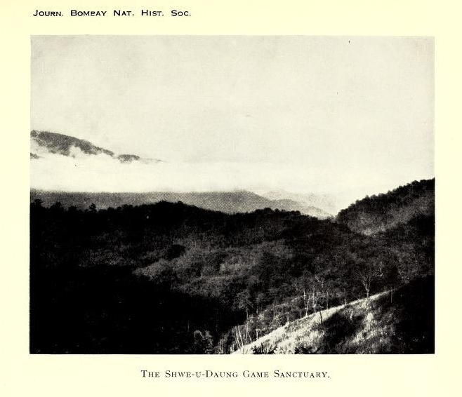 journalofbomb35121931bomb_0605