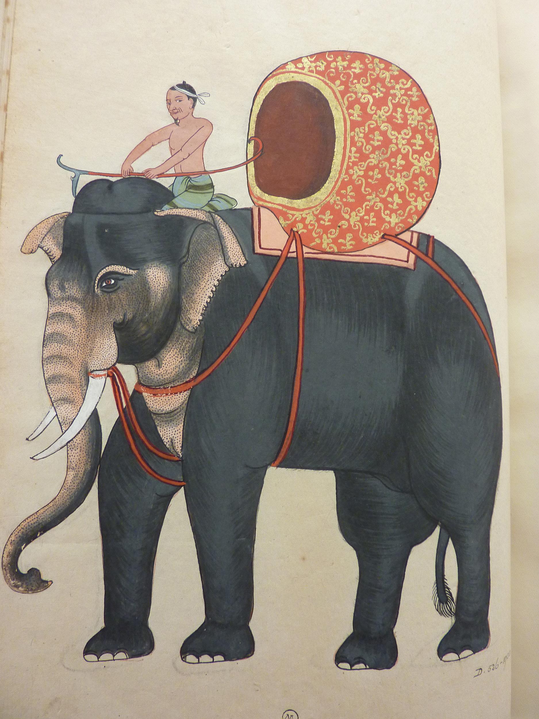 D.536-1901 The King's Elephant - His Majesty's favourite