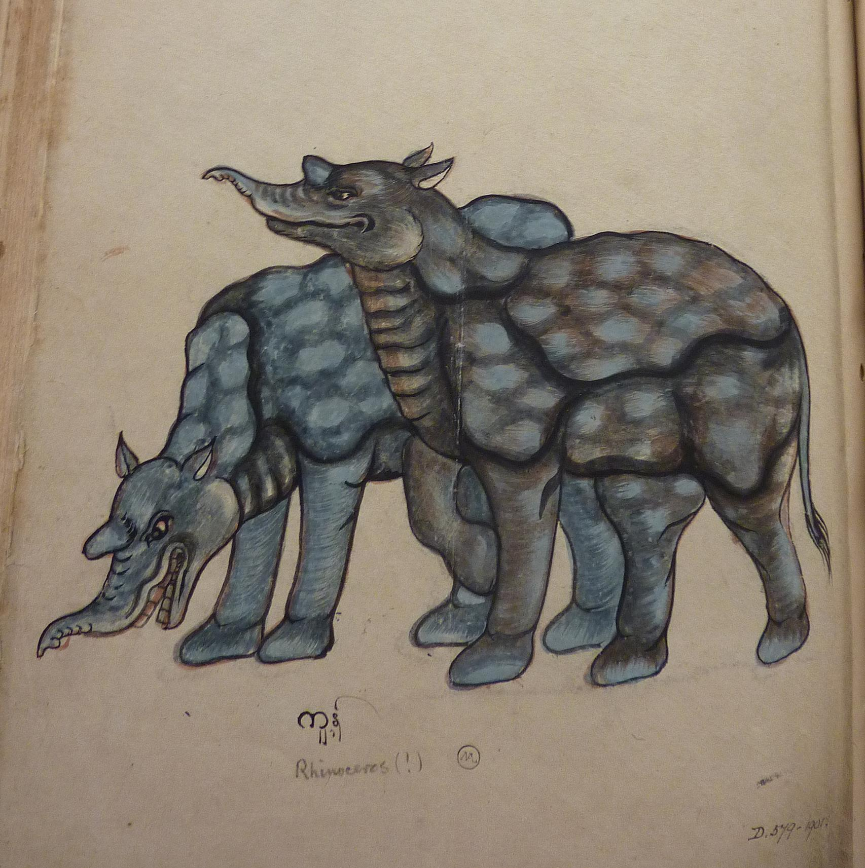 D.579-1901 'Ranaserus' [two rhinoceros]